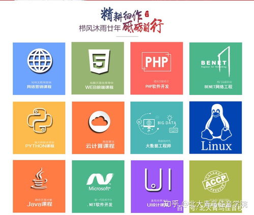 北大青鳥基礎軟件服務專業詳解及學費參考